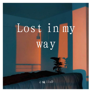 Lost in my way（Fest. liuD）