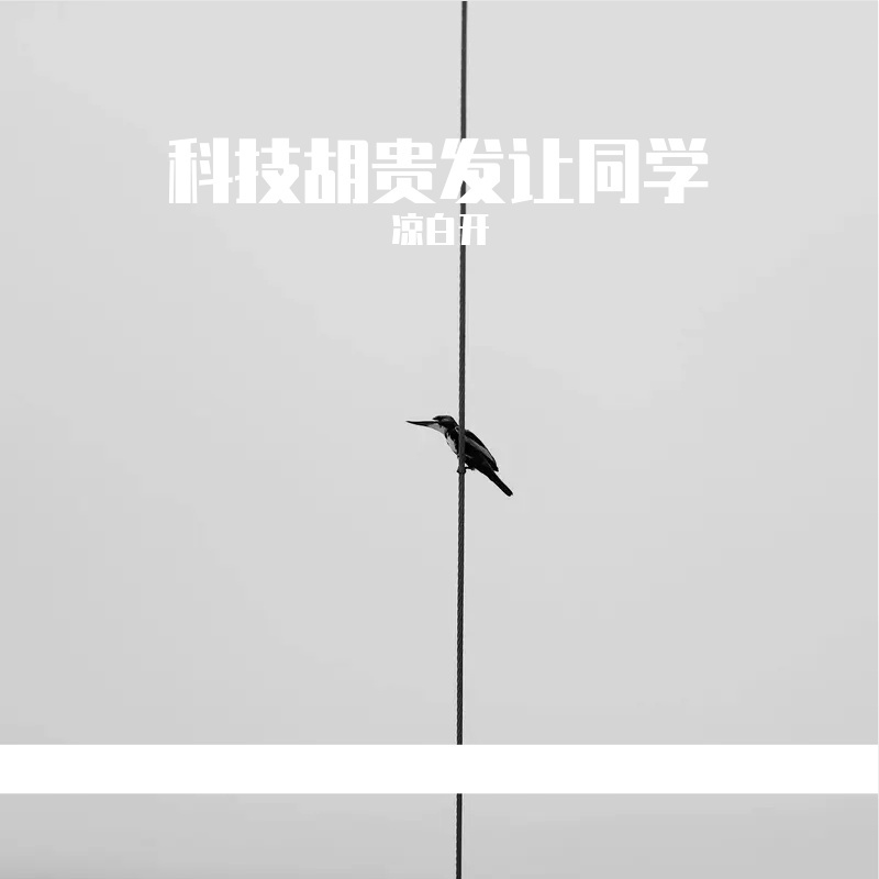 梦如叶封面