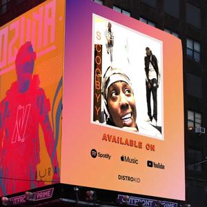 Syty Flow (Stripper Ho) (Remix)