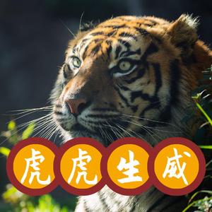 虎虎生威（PROD BY FaunmU）