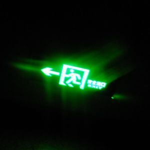 雨 叶（Prod.Gr33nartBeats）