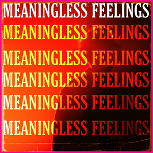Meaningless Feelings