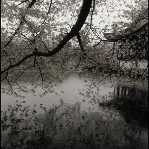 爱是共同撑一把漏雨的伞