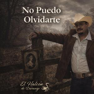 No Puedo Olvidarte