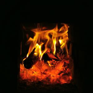 在二十岁的年纪神明听见了我