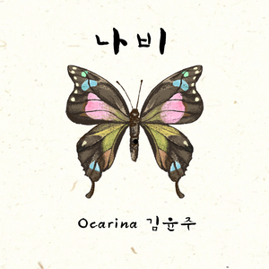나비
