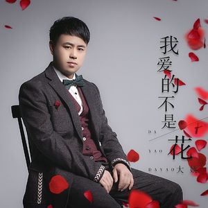 我爱的不是花（DJ大姚版）