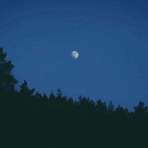 disappear on that special night?