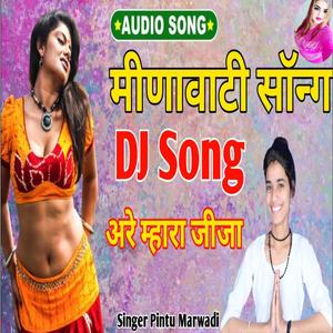 Are Mhara Jija Meenawati DJ Song