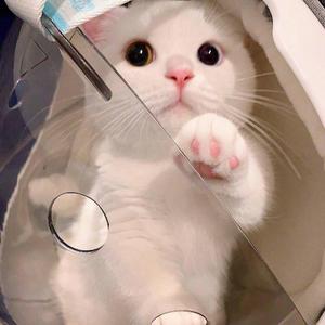 MOM（翻自 蜡笔小心）