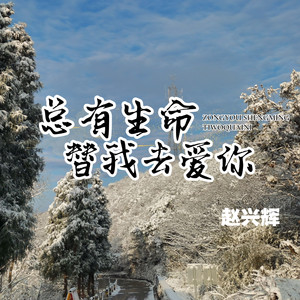 总有生命替我去爱你