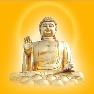 佛前 阿弥陀佛 伴奏 12.5