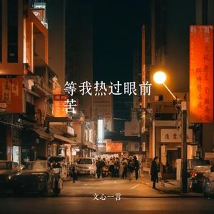 等我熬过了所有的苦 (旋律)