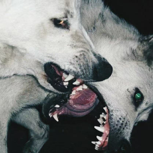 "Playin w you" Murder&揽佬&华云龙 Type Beat