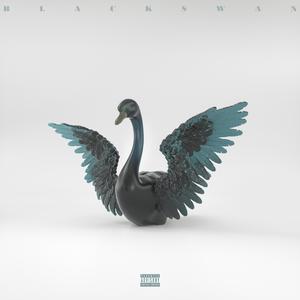 黑天鹅 Black Swan