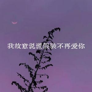 我故意说谎假装不在爱你