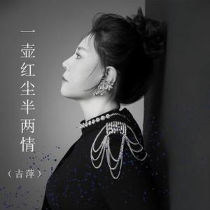 一壶红尘半两情（DJ版）