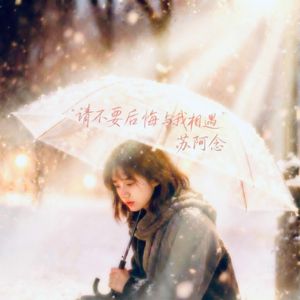 请不要后悔与我相遇 (苏阿念版)