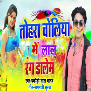 Tohar Choliya Me Lal Rang Dalem