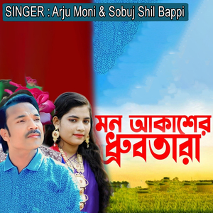 মন আকাশের ধ্রুবতারা