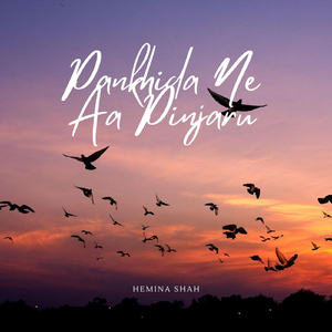 Pankhida Ne Aa Pinjaru (Modern)