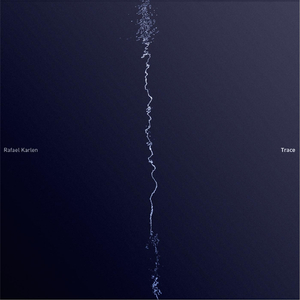 Driftwood (feat. Steve Newcomb & Toby Wren)