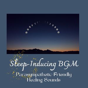 気持ちの整理～睡眠導入BGM～