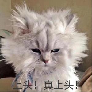 我爱你不问归期