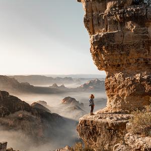 Travel in your dreams