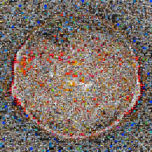 Fooled (tricked) by the birds