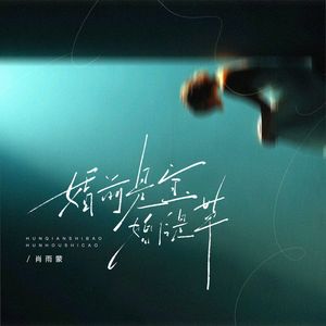 婚前是宝婚后是草（DJ版）