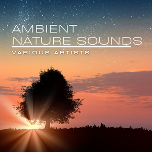 Keep Your Lamp Trimmed and Burning