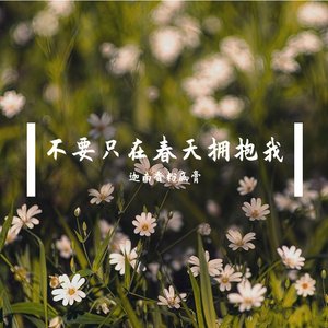 不要只在春天拥抱我