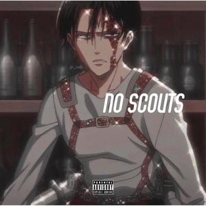 No Scouts
