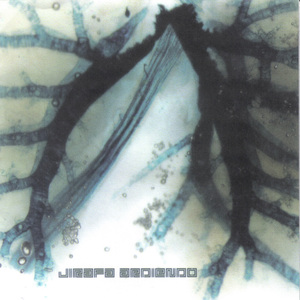 Lectura Veloz (Pre-mezcla)