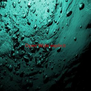 Open Wide (explicit) (Instrumental version originally performed by Calvin Harris feat. Big Sean)