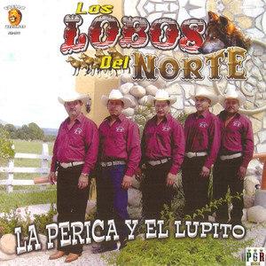 Los Coyotitos