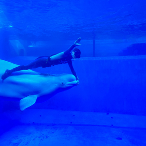 还是爱着你 Cover韦礼安