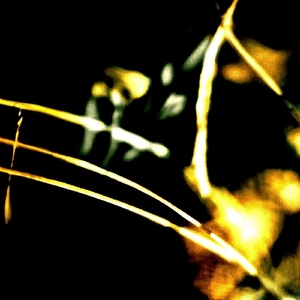 Aioniotita (Original Mix)