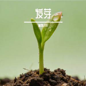 你是我年少的欢喜