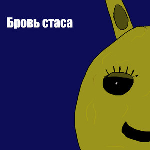 Бровь стаса