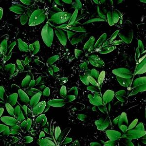 与你无关（原创版）