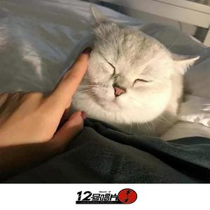 繁星千万不及你