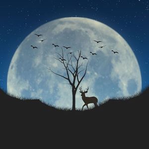 月亮河 (Moon River)