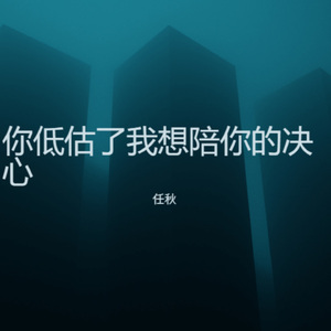 你低估了我想陪你的决心