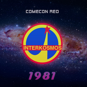 Interkosmos 1981