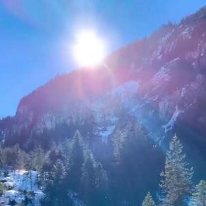 花香一季似如春