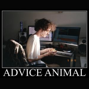 Advice Animal