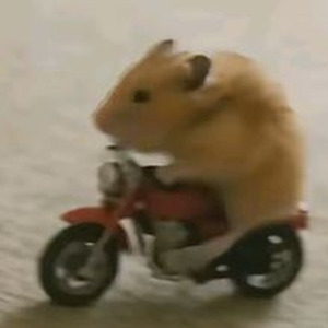 A BOY IS A GUN (sped up)