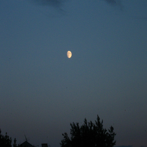 Оставь (Remix)